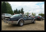 Corvette C3 78 Pace Car - 2